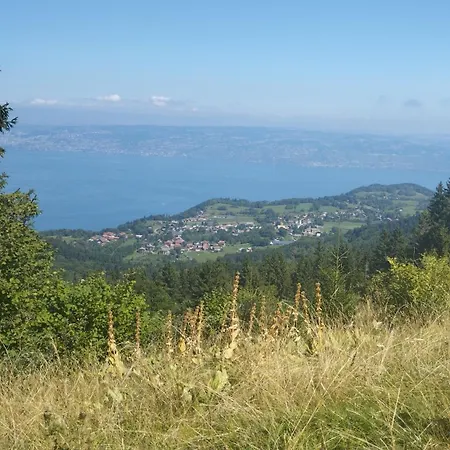 Le Balcon Des Memises Thollon-les-Memises